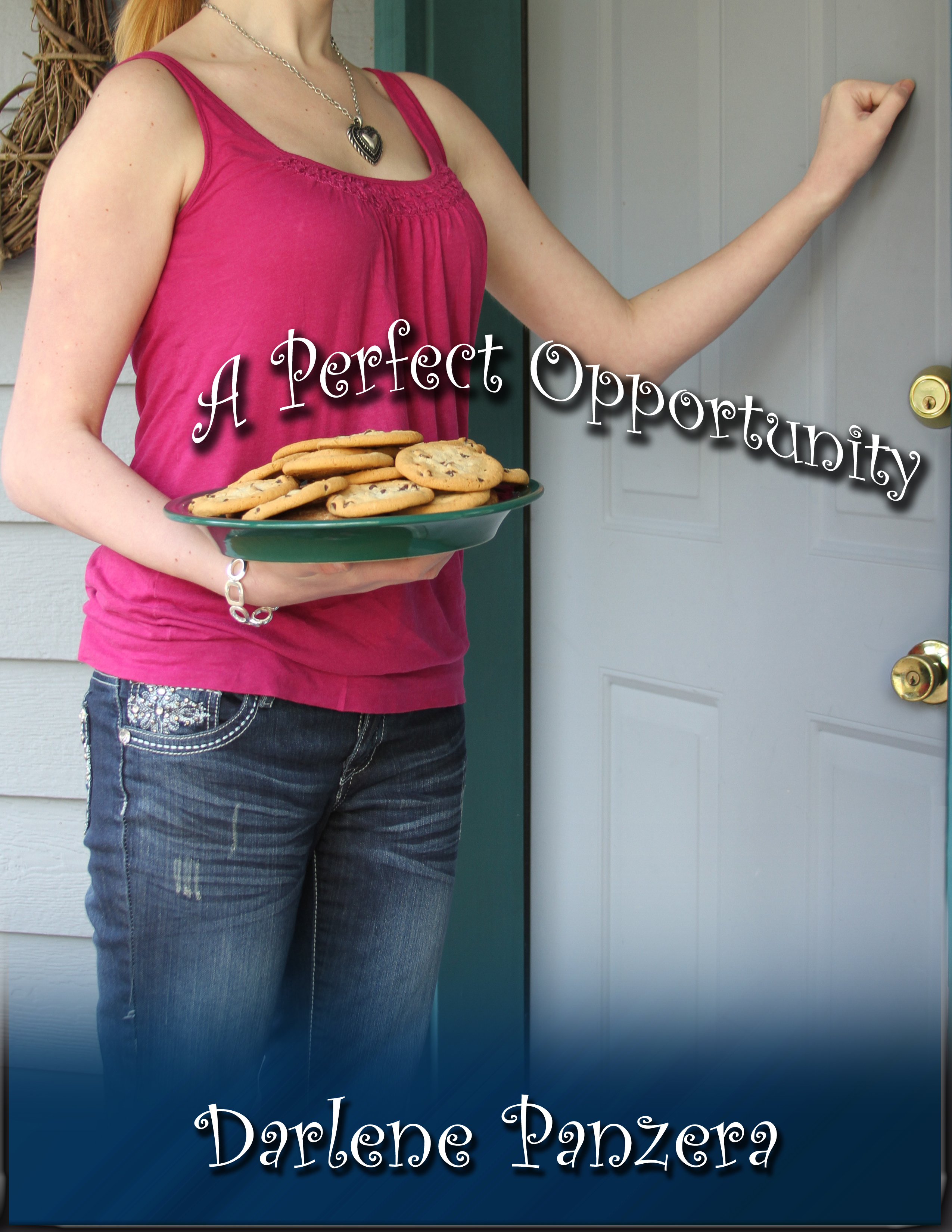 A Perfect Opportunity book cover
