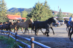 Horseback riding at Western Guest Ranch near Jackson Hole and Yellowstone