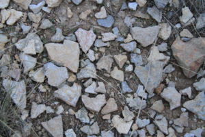 Bozeman M hike, heart shaped rocks
