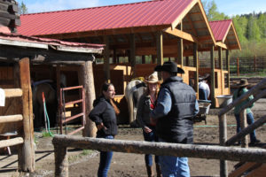 Horseback riding Western Guest Ranch near Jackson Hole and Yellowstone 