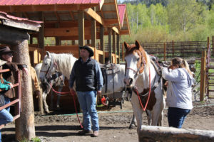 Horses at Western Guest Ranch near Jackson Hole and Yellowstone